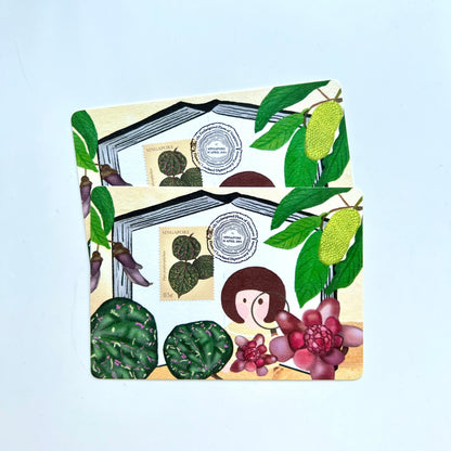 Endangered Flora of Singapore | Postcard / Maxicard