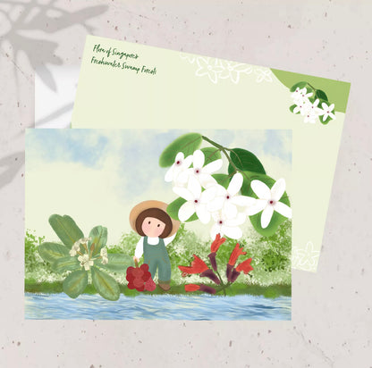 Flora of Singapore's Freshwater Swamp Forests | Postcard / Maxicard